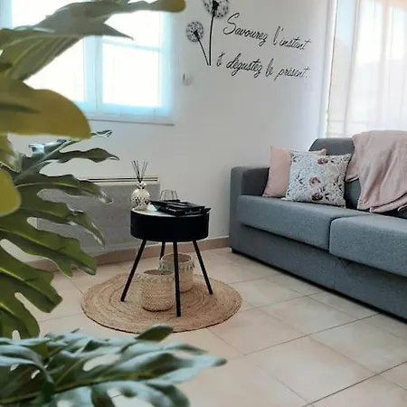 Apartment Proche Aeroport A Pied, Le Reve Rose.