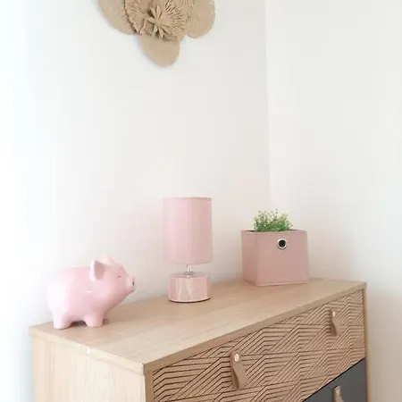 Proche Aeroport A Pied, Le Reve Rose. Apartment *