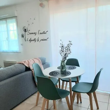 Proche Aeroport A Pied, Le Reve Rose. Apartament Tillé