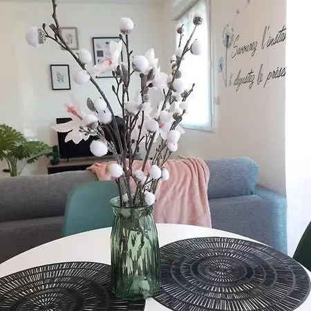 Proche Aeroport A Pied, Le Reve Rose. Apartament *