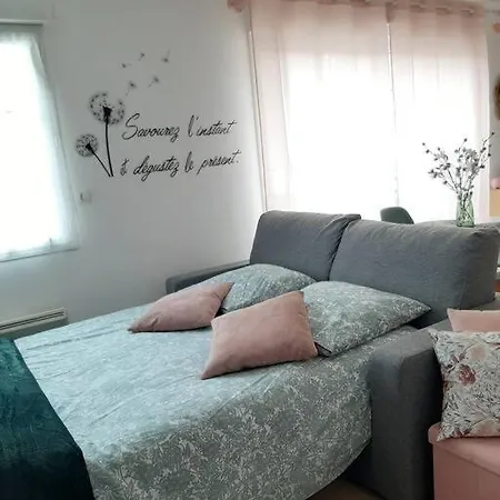 Appartement Proche Aéroport à Pied, Le Rêve Rose. Tillé