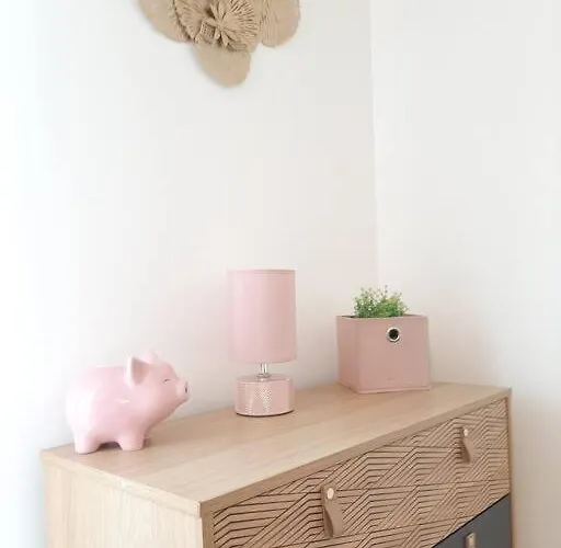 Proche Aeroport A Pied, Le Reve Rose. Apartment *