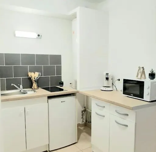 Apartment Proche Aeroport A Pied, Le Reve Rose.