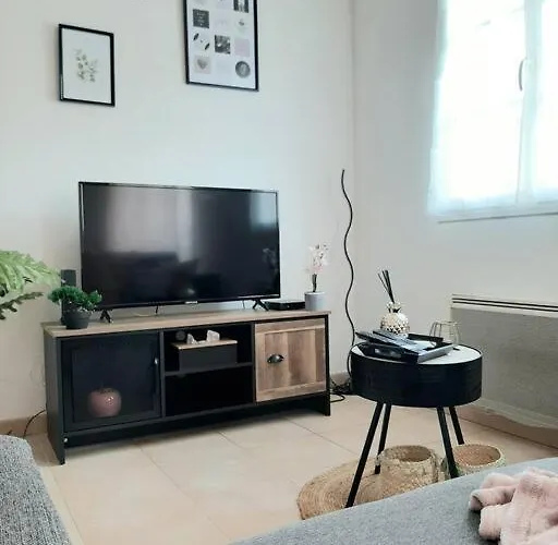 Proche Aeroport A Pied, Le Reve Rose.