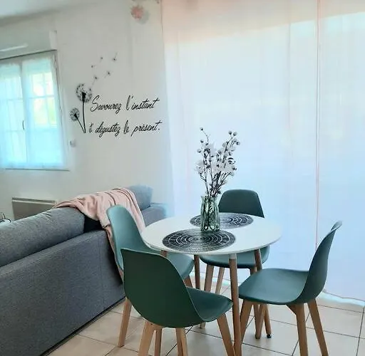 Proche Aeroport A Pied, Le Reve Rose. Apartment Tille