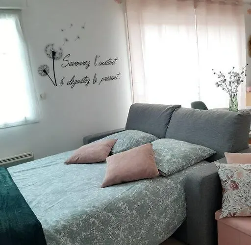 Apartment Proche Aeroport A Pied, Le Reve Rose. Tille